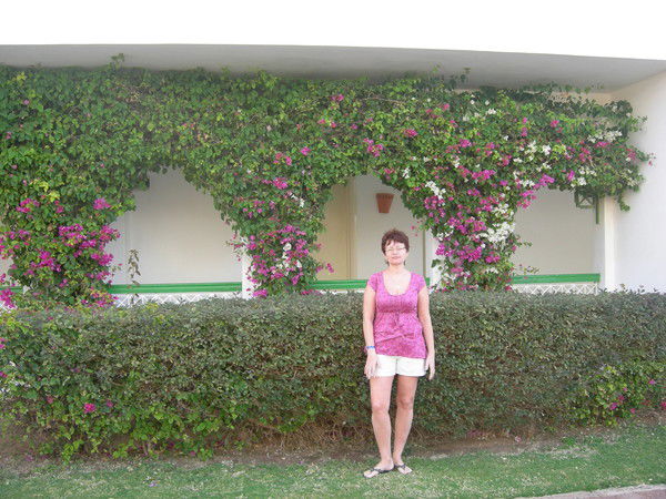 Елена Черкасова