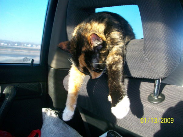 Виталий Яхин