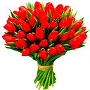 Гайникомал Ахмерова