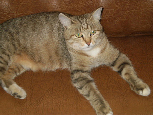 Даша Клещенок