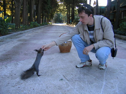 Дмитрий Марков