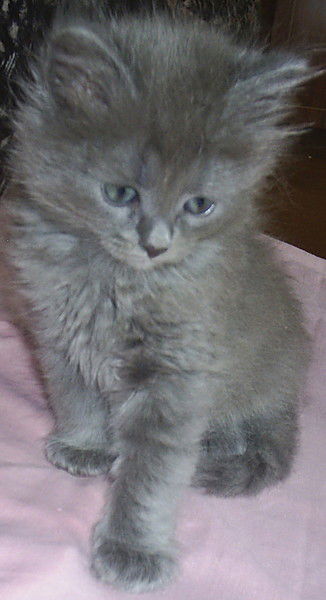 Анна Ионова