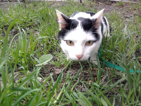 Екатерина Воистинова