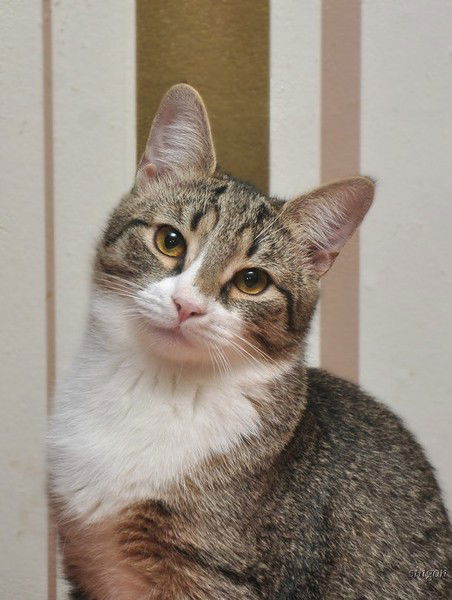 София Остапенко