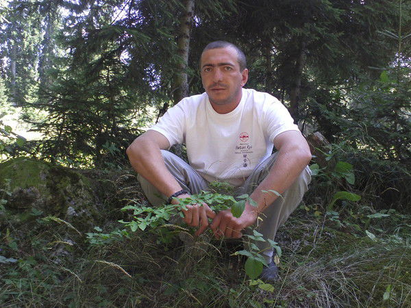 Giorgi Gobozovi