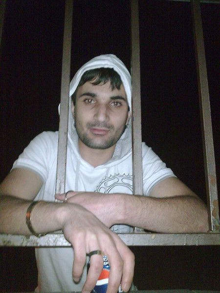 Солнце Гришевич