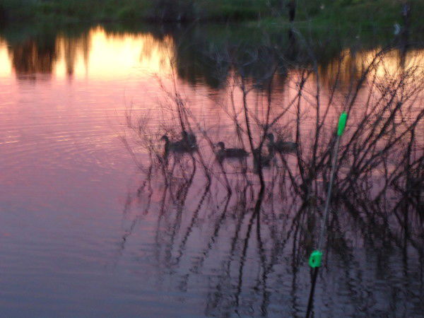 Вячеслав Майоров