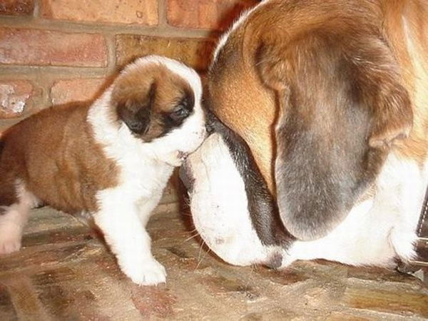 Юля Старикова