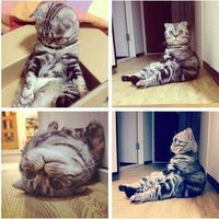 Валерия Войтеховская