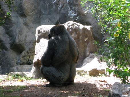 Сергей Гальцев