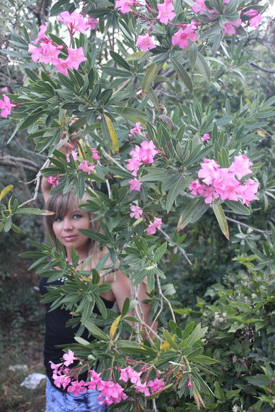 ???????? ??????????????