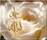 Сания Амерханова