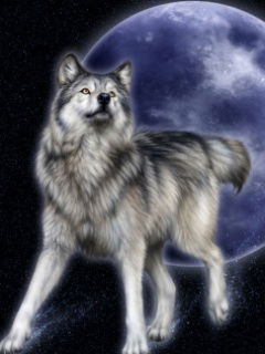 Дмитрий Задорожнюк