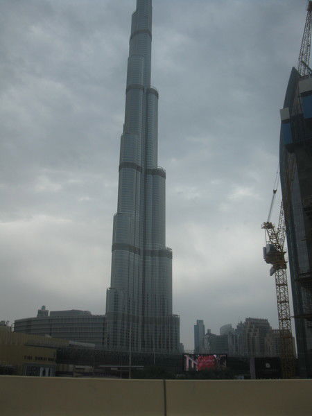 Ольга Пятницкая