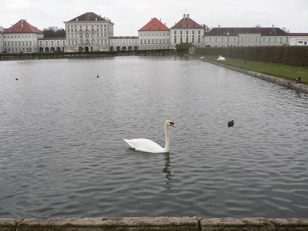 Елена Филиппова