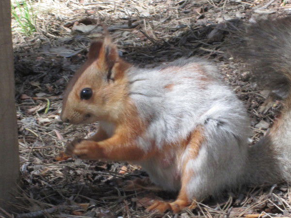 Отдел Политика