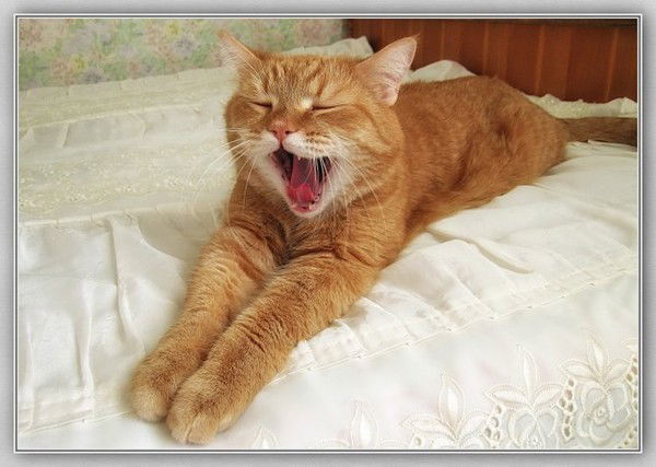 Рустем Жумабаев