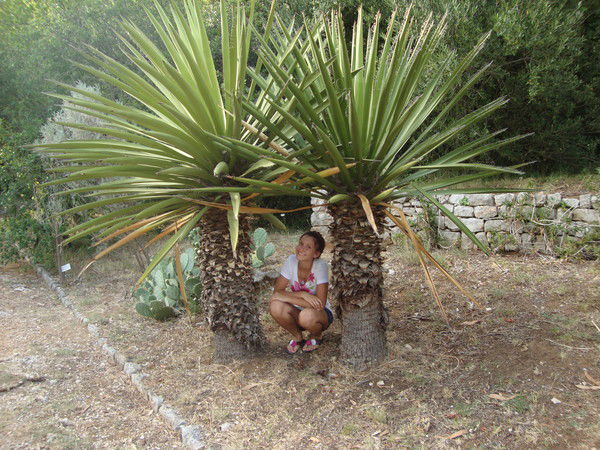 Настя Солнцева