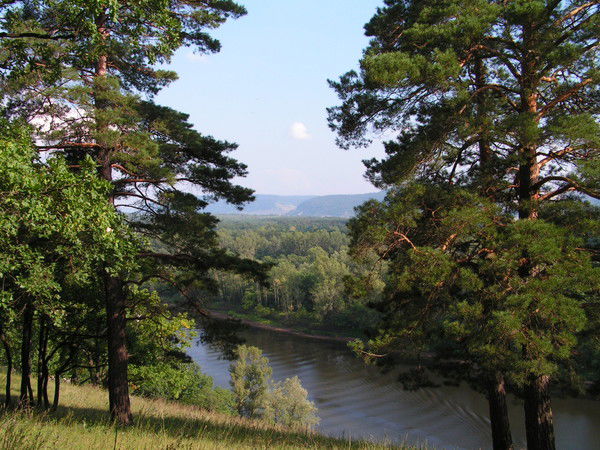 Валерий Мартынов