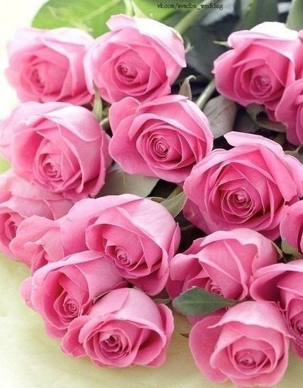 Альмира Резяпова