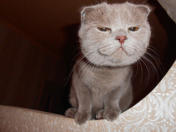 Ильдар Ахметзянов