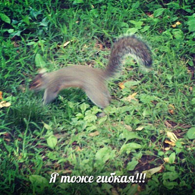 Даша Дроздова