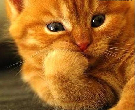 Татьяна Третьяк