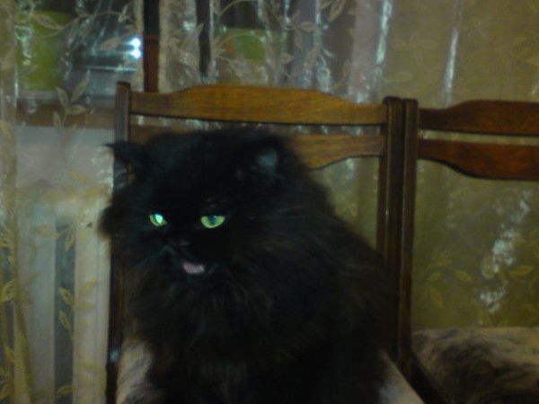 Надежда Надеждина