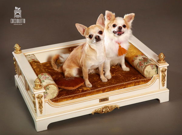 Вера Филипова