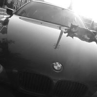 Ника Каргина