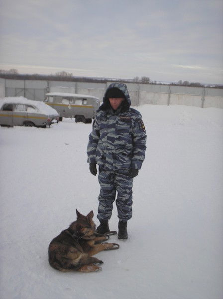 Алексей Шаменко