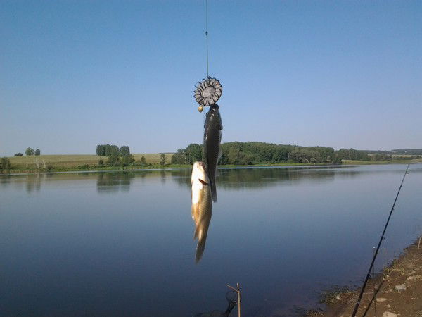 Ольга Медведева