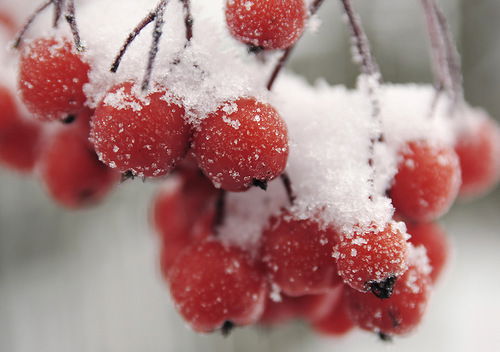 Татьяна Киреева