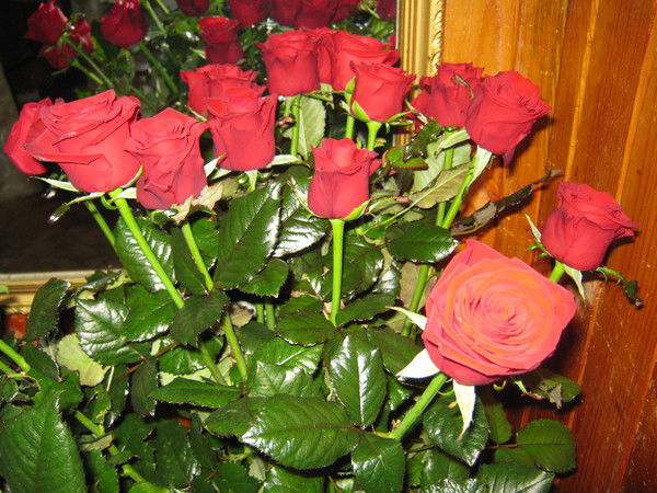 Рамзия Валитова