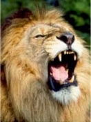 Сергей Лець