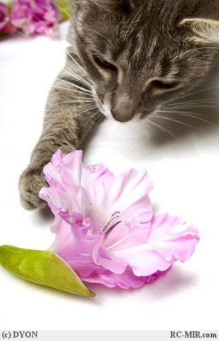 Анна Митина