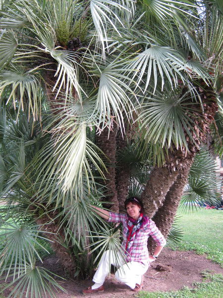 Людмила Слюсаренко