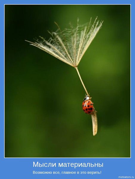 Ильзат Иминов