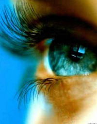 Надежда Бойкова