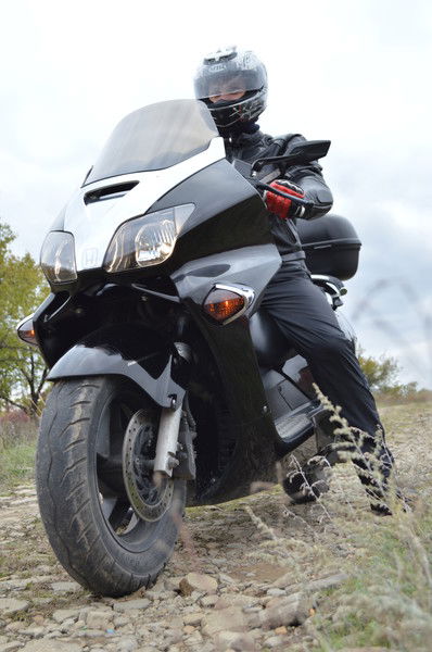 Дмитрий Кучеренко