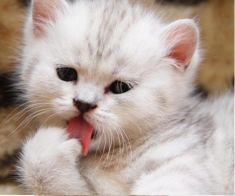 Владимир 150319