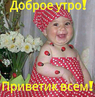 Джаминат Багамедова