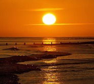 Геннадий Осипов