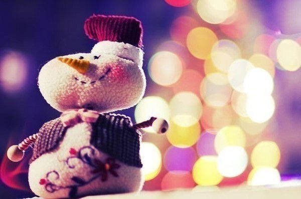 Бгэу Группа Дгх-2