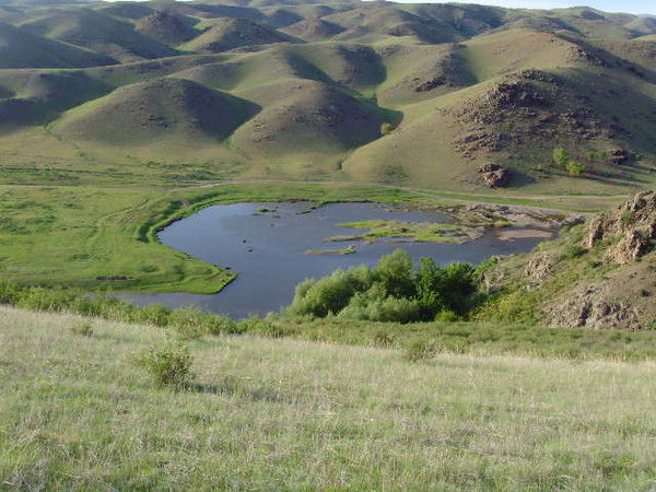 Ильяс Паншар