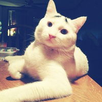 Никита Пимкин