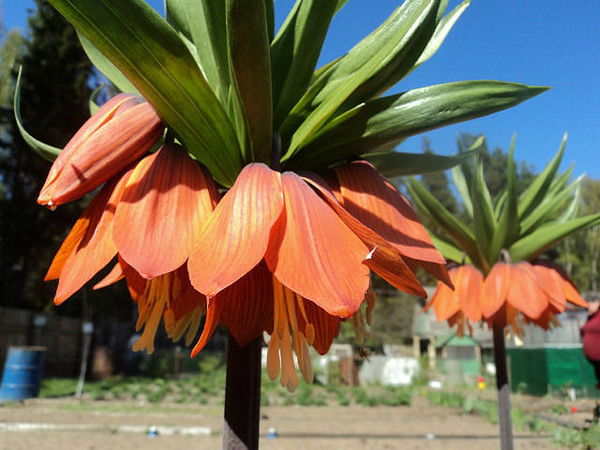 Айгуль Байзакова