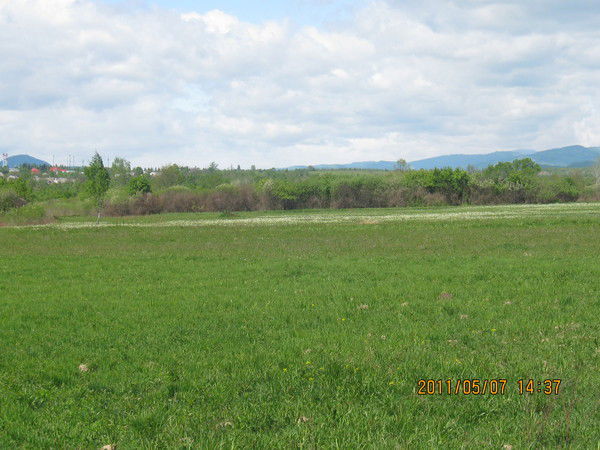 Светлана Павлова