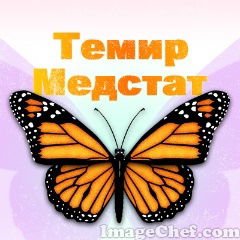 Медстат Темир