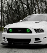 Глеб Ермоленка